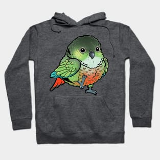 Cute Green Cheek Conure Hoodie